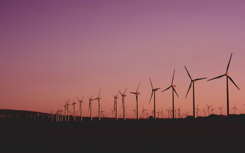 ABOUT COLLAGE INDORE