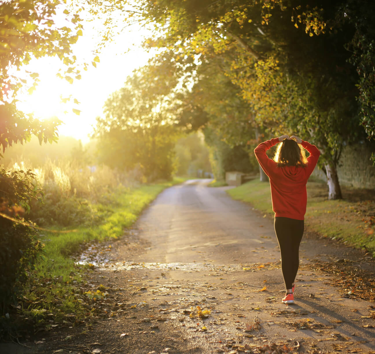 ABOUT COLLAGE INDORE